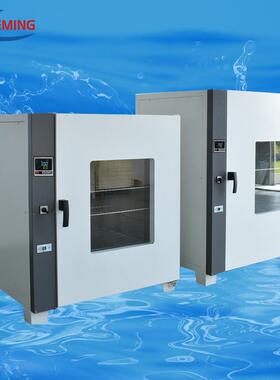 250℃液晶屏电热鼓风干燥箱GZX-DH.800-BS-II