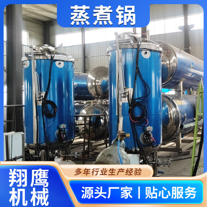 大型高温高压粽子蒸煮锅蜜饯浸糖锅鹰嘴豆纳豆八宝粥电加热蒸煮锅
