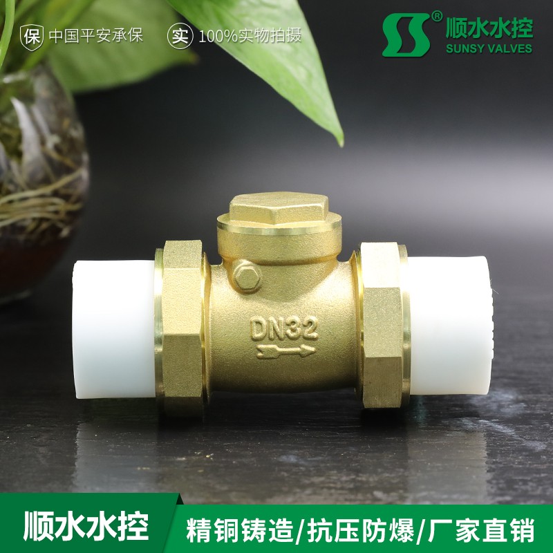 热熔活接卧式PPR黄铜止回阀返止水逆流自来水管4分6分1寸工厂直销