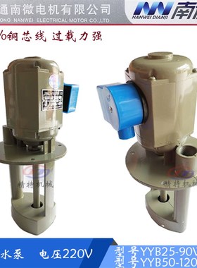 单相电泵 YYB50TH/YYB25冷却泵 南通微特电机220V/120W 水泵 铜芯