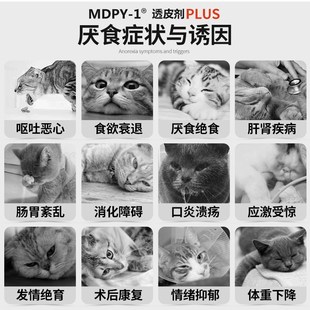 米氮平透皮剂膏猫狗应激产术病后厌挑食开胃促进食欲增肥透皮剂