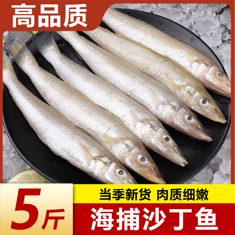沙丁鱼深海鱼新鲜冷冻小银鱼鲜活海鲜水产烧烤食材面条鱼无小刺,水产肉类/新鲜蔬果/熟食,其它,淘宝优惠券,粉丝福利购,淘宝优惠卷