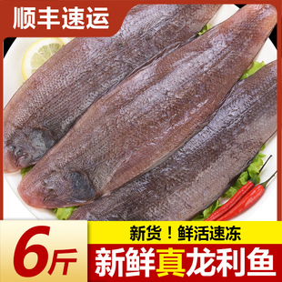 龙利鱼新鲜冷冻舌头鱼深海踏板鱼海鲜水产牛舌鱼非巴沙鱼婴儿商用