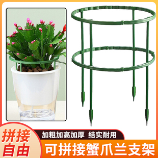 蟹爪兰专用支架植物防倒伏支架杆加粗多层设计造型固定支架爬藤架