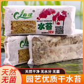 水苔无菌干水苔蝴蝶兰花专用营养土育苗乌龟苔藓石斛食虫植物 包邮