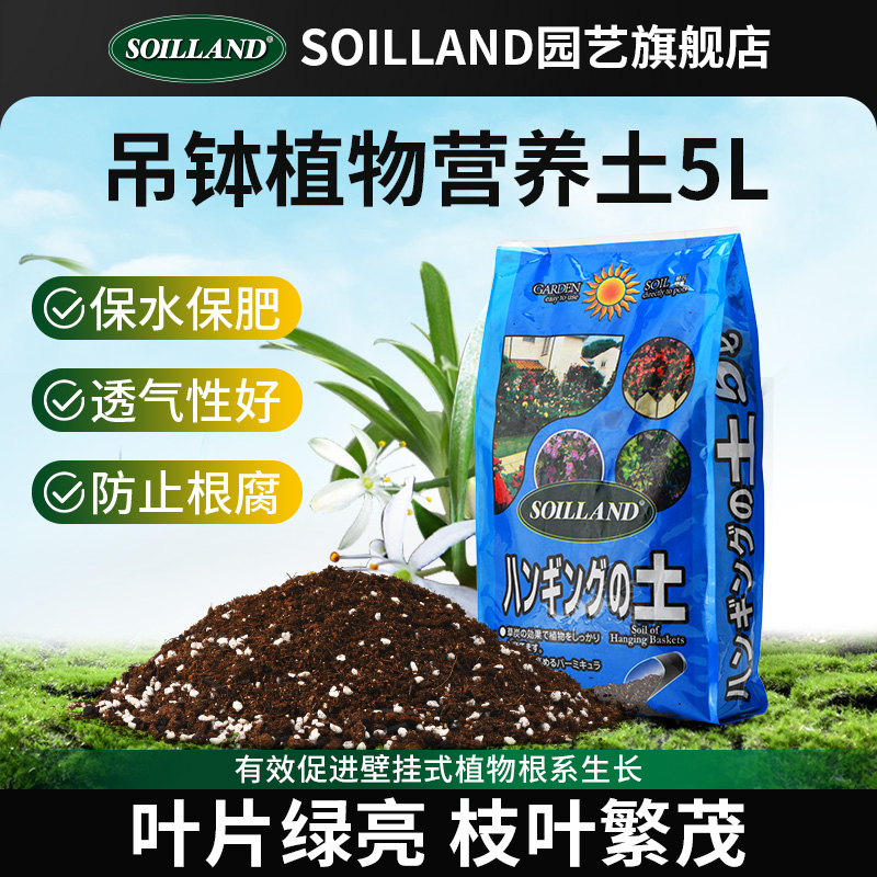 大柿园艺soiland土吊兰常