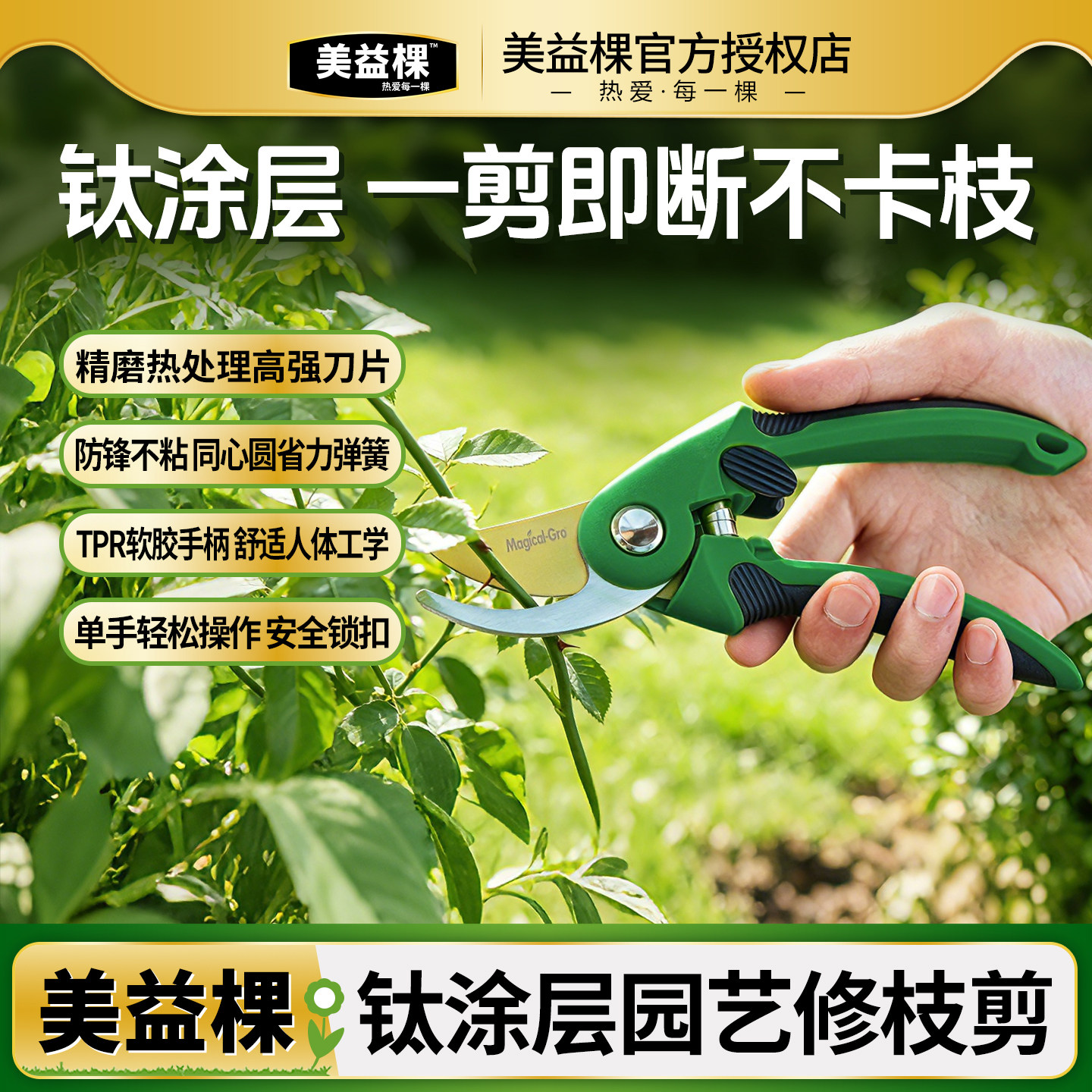 美益棵月季果树盆栽枝剪图片