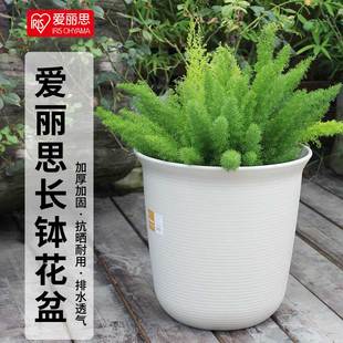 爱丽丝加厚树脂塑料长钵绿萝发财树兰花绿植仿陶瓷清仓爱丽思花盆