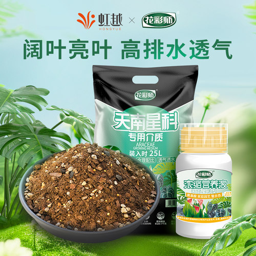 虹越花彩师龟背竹专用土肥