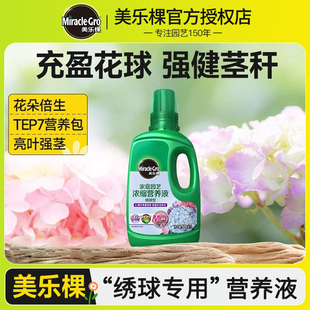 美乐棵绣球花专用肥料营养液盆栽中华木欧洲木绣球无尽夏万华镜