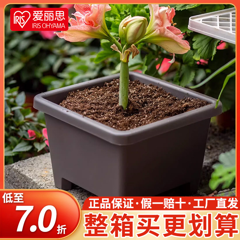 爱丽思花盆种球圆形卉栽植