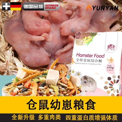 金丝熊小昌仓鼠幼崽粮食生宝宝