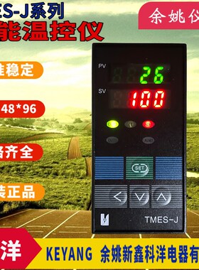 推荐温控器TMES-J可控硅温控仪TME-7711Z-S热流道温控器优质现货