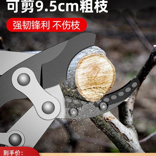 德国芝浦修枝剪刀树枝剪园林粗枝高枝剪花枝剪园林工具专用大力剪