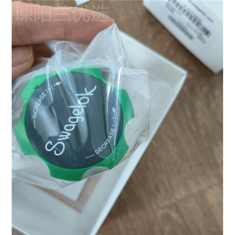 世伟洛克减压阀KC纹P1MZZR2A2PE60000内螺A绿色手柄