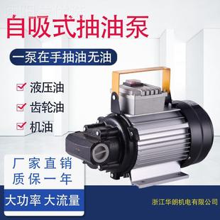 家用款 朗自吸韩电动齿轮泵55新大0和1100瓦电泵流量液压HPL机油泵