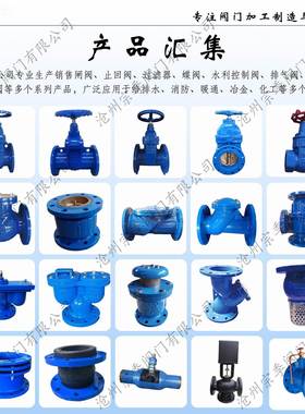 硬密闸阀 Z4T球墨铸铁防护阀门黄铜封密消防水利封闸阀厂90474家