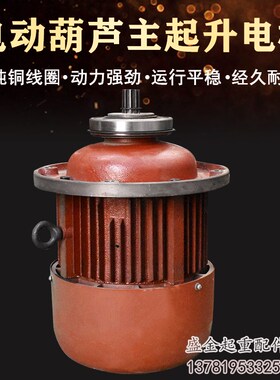 电动葫芦主起升电机ZD 15/30/45/75/13/185KW锥形转子电动机