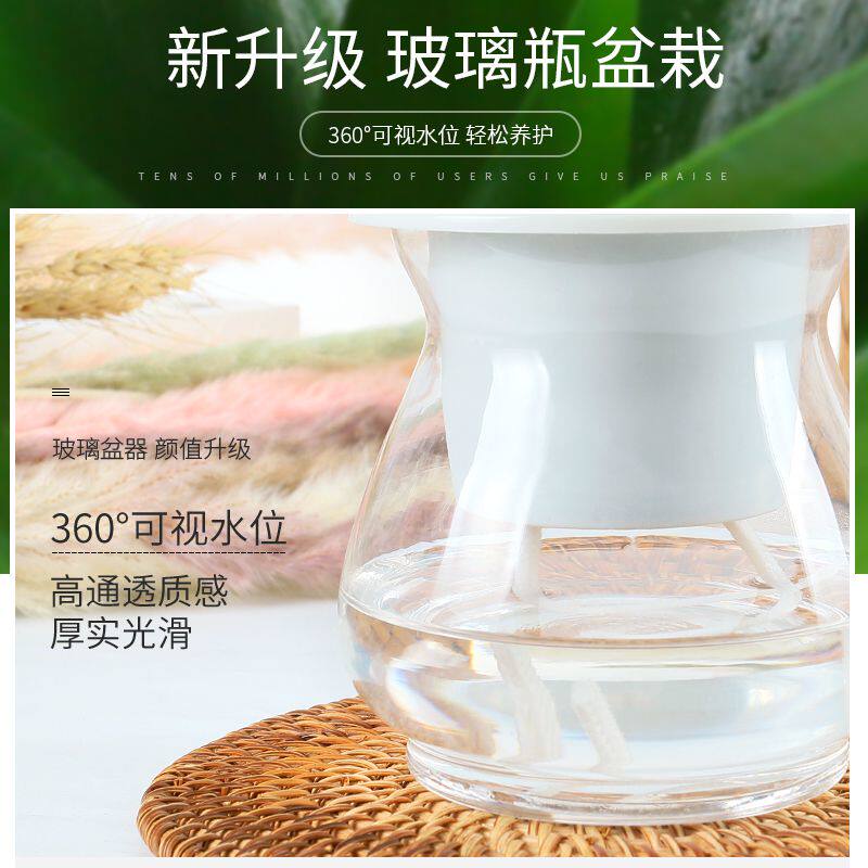 绿萝盆栽室内小植物摆件栀子花净化空气文竹虎皮兰茉莉花绿植花苗