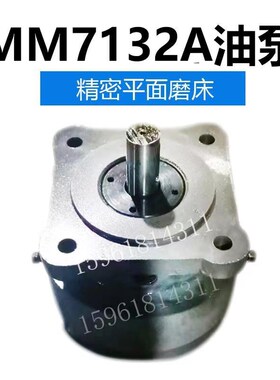 杭州MM7132A精磨卧轴平面磨床 液压油泵 主轴泵 原装磨床配件
