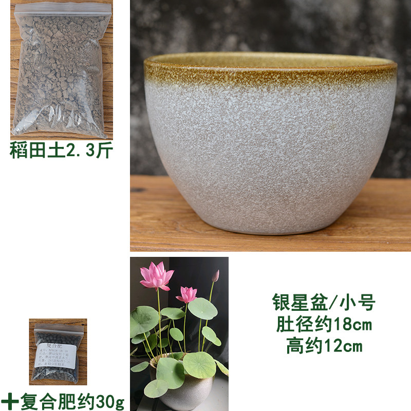 环球碗莲荷花盆水生花卉植物无孔树脂青花陶瓷