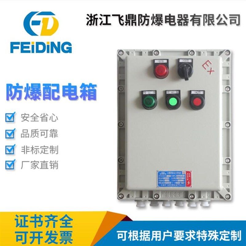 BXK51防爆仪表铁箱160*80开孔温控仪表接线空箱数码表配电箱定做
