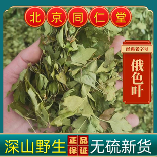同仁堂俄色叶中药材俄色叶野生俄色叶甄选新茶康定野生俄色叶新货