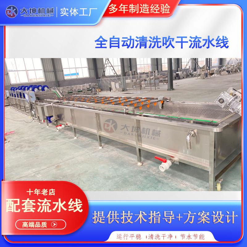 鼓泡式枸杞清洗机银杏清洗烘干流水线定制款干果清洗加工成套设备