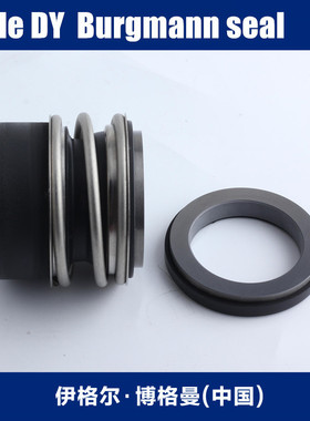 大连博格曼机械密封离心泵ZNDG25-30泵用机械密封BURGMANN机封
