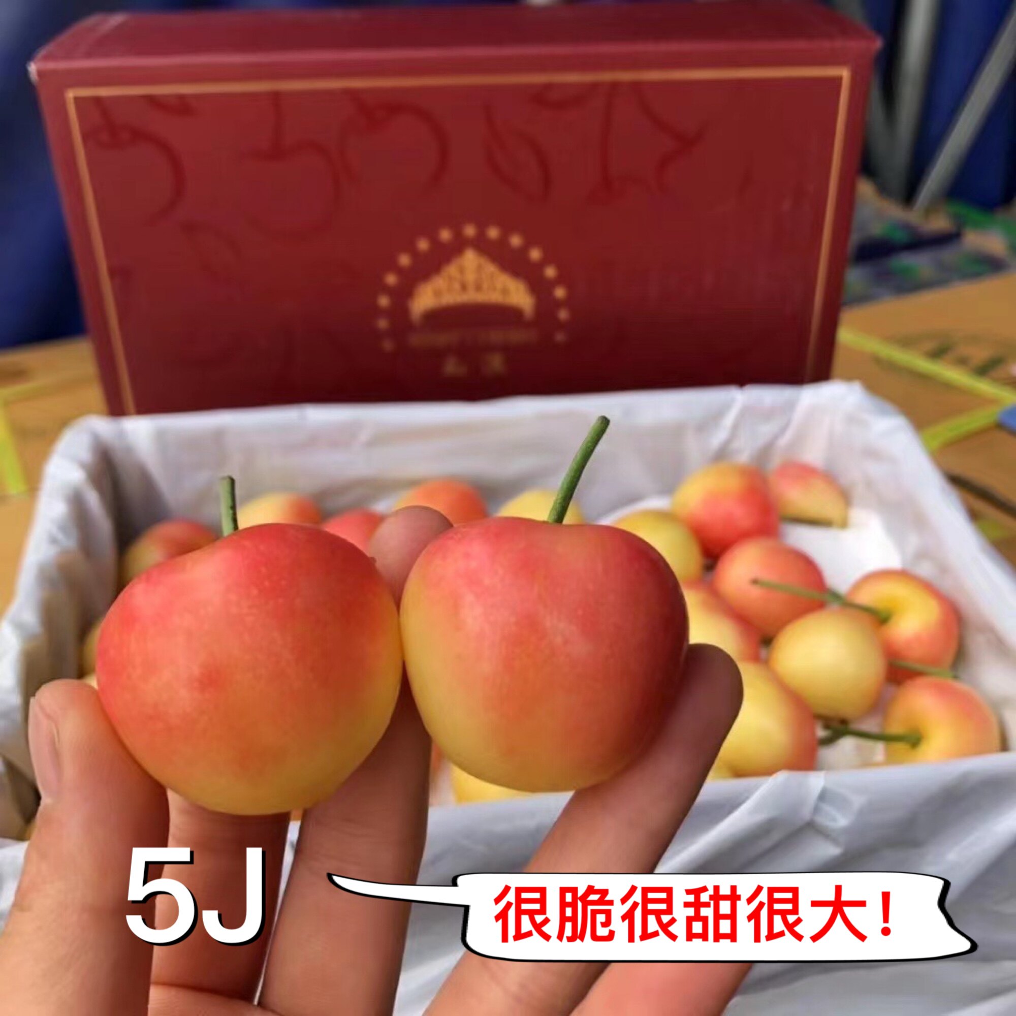 5J大果 空运黄樱桃 5斤装金车厘子脆甜爽口丸淇新鲜包甜包脆