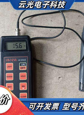 温湿度计 HANNA HI9565防水温湿度计，，能议价