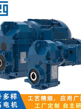 WG20-平行轴齿轮减速电机防爆变频电动机厂家