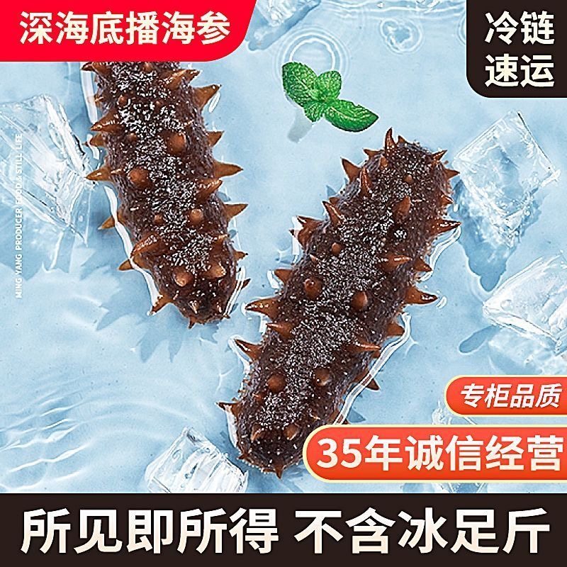 野生海参即食海参正宗辽参