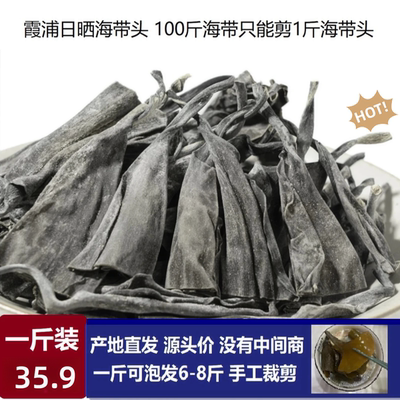 【有机海带头】霞浦海带头干货无干燥剂厚实软糯新货营养美味风干