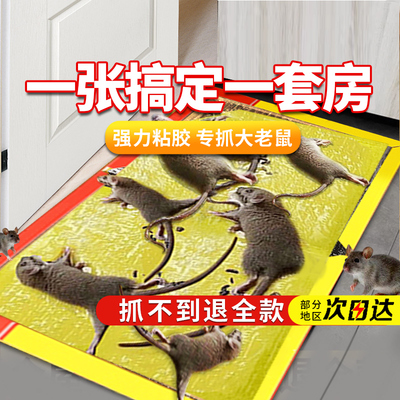 强力粘鼠板大老鼠粘胶