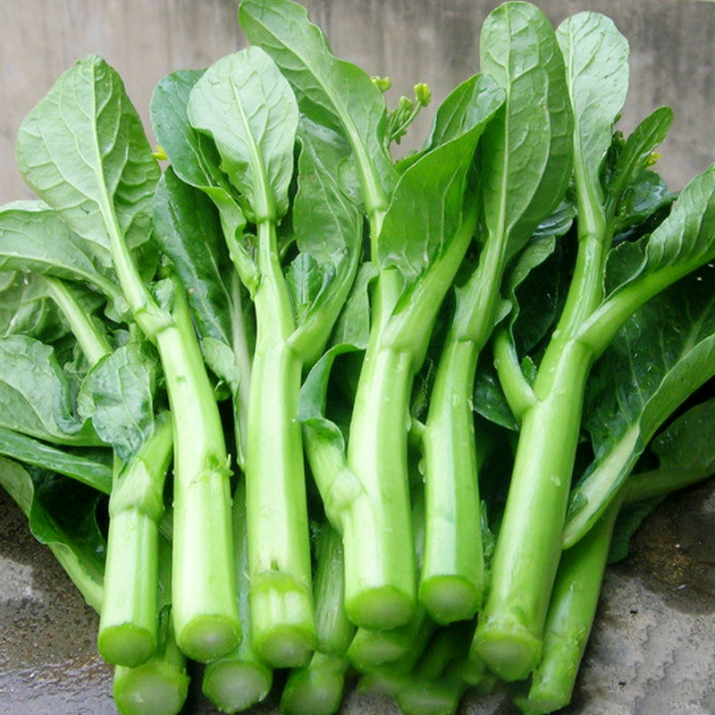 四九菜心种子四季甜菜心籽广东青菜种籽菜苔农家盆栽阳台蔬菜种孑,鲜花速递/花卉仿真/绿植园艺,家庭园艺种子,淘宝优惠券,粉丝福利购,淘宝优惠卷