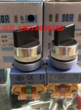 杭州三力电器 LAY16-D20X21 LAY16-D11X21 LAY16-D 二位旋钮