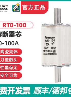 TENGEN天正 RTO100体 熔断器 熔芯 RT0100A 63A 80A 陶瓷保险丝