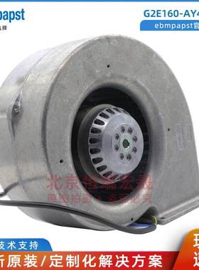 G2E160-AY47-01德国ebmpapst AC230V 240/280W 涡轮鼓风机