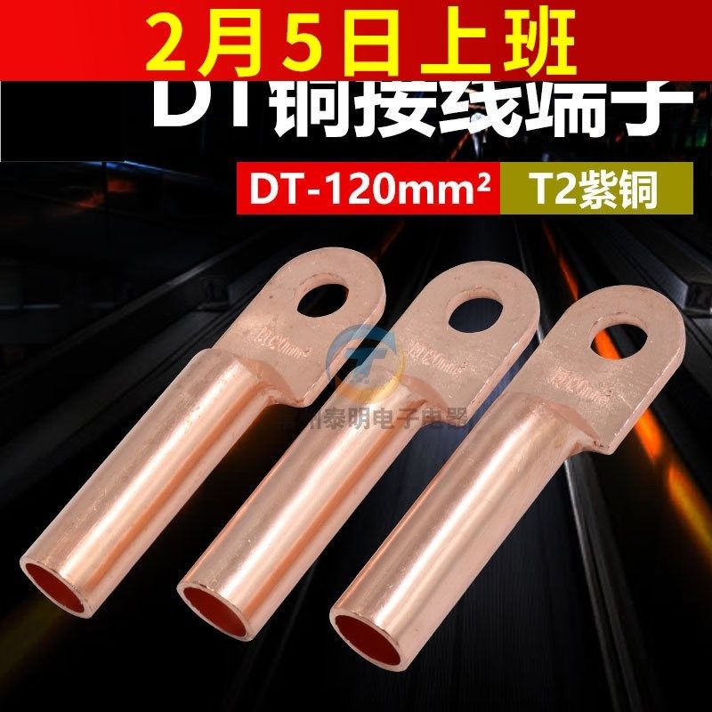 凤凰接线铜鼻子DT-120MM2平方电线线耳 堵油铜接头国标紫铜插簧