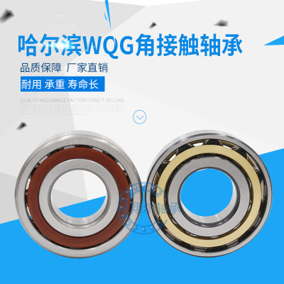 哈尔滨HRB轴承71922 71924 71926 71928 71930 71932 71934/AC/C