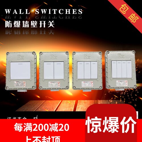 包邮/防爆开关220V10A明装暗装墙壁86型单开双开三开防爆墙壁插座