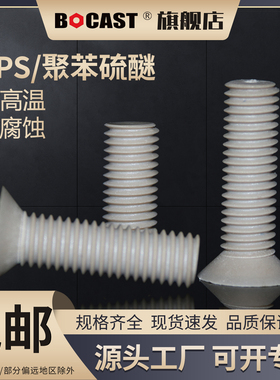 耐高温 PPS平头塑料螺丝M2.5-M10 高强度 耐腐蚀十字沉头塑胶螺钉