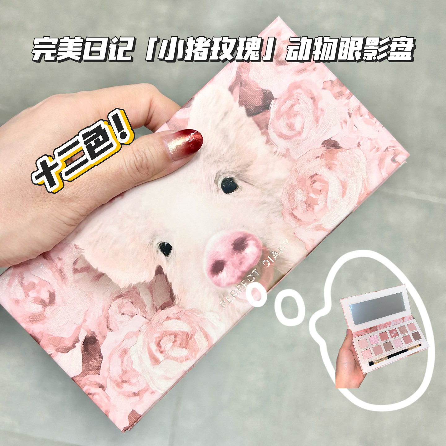 完美日记十二色动物眼影盘