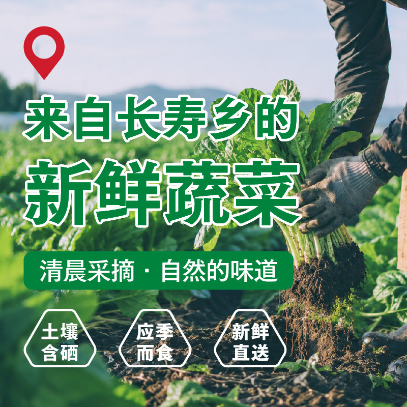【左庭右院】一箱“情”蔬 长寿乡南通如皋专供蔬菜3000g仅展示