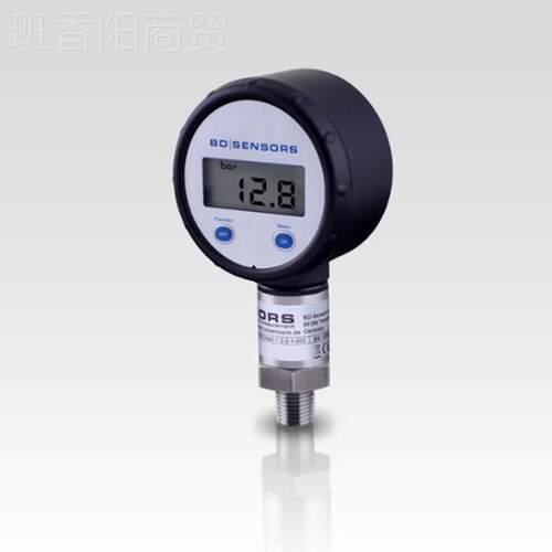 德国BD Snsor0s 精密 数显压力表电子仪表2 DeX19-DMK331 5-IBK10