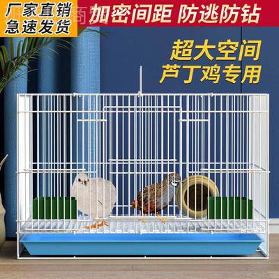 芦丁鸡专用笼观25618赏笼饲鸭箱育雏家用殖养小鸡笼加密鹌鹑笼小