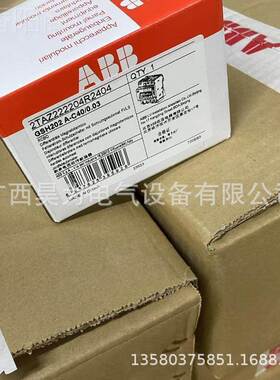 CBM漏电保护断路器2TAZ2R2RJP24042504tGSH204 A-C.50/003