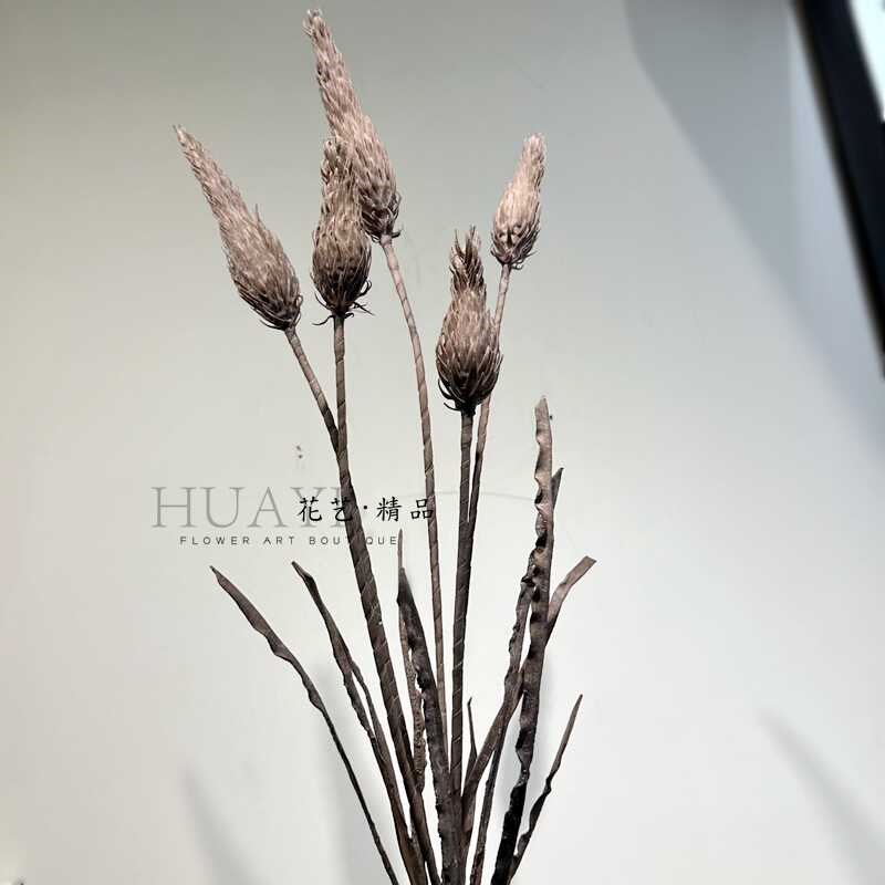 小众花艺素材仿真花手捧花束南非蓟花翁草白头翁PU材质复古枯枝