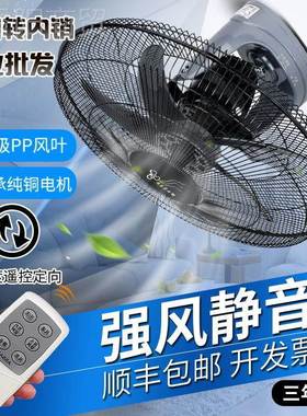 楼顶花扇遥控20402用吸顶扇20寸16寸挂扇壁扇天扇吊顶家吊扇摇头